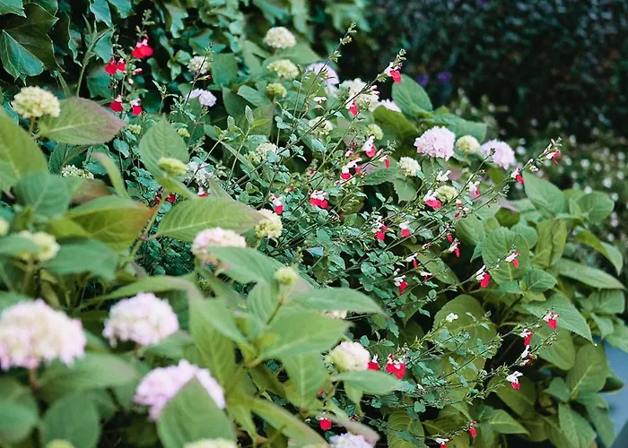 Casa vacanze Luxury Architect Designed House Dublino