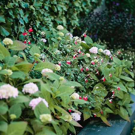 Prázdninový dům Luxury Architect Designed House Dublin