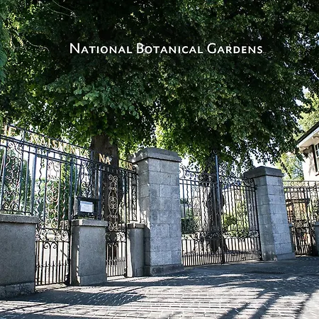 Luxury Architect Designed House Hébergement de vacances Dublin