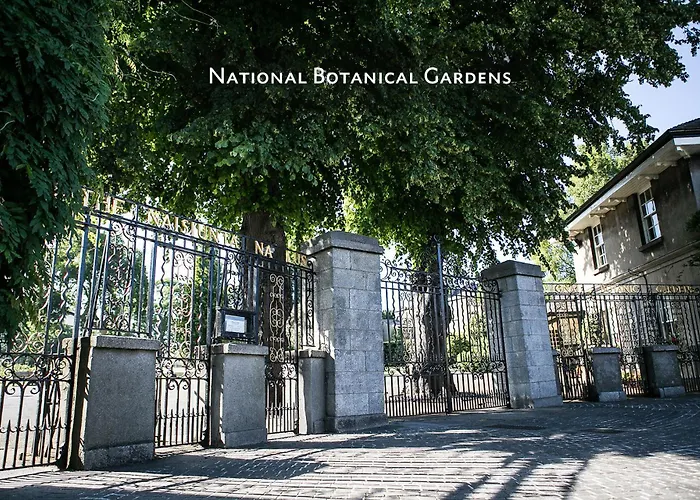 Luxury Architect Designed House Nyaraló Dublin